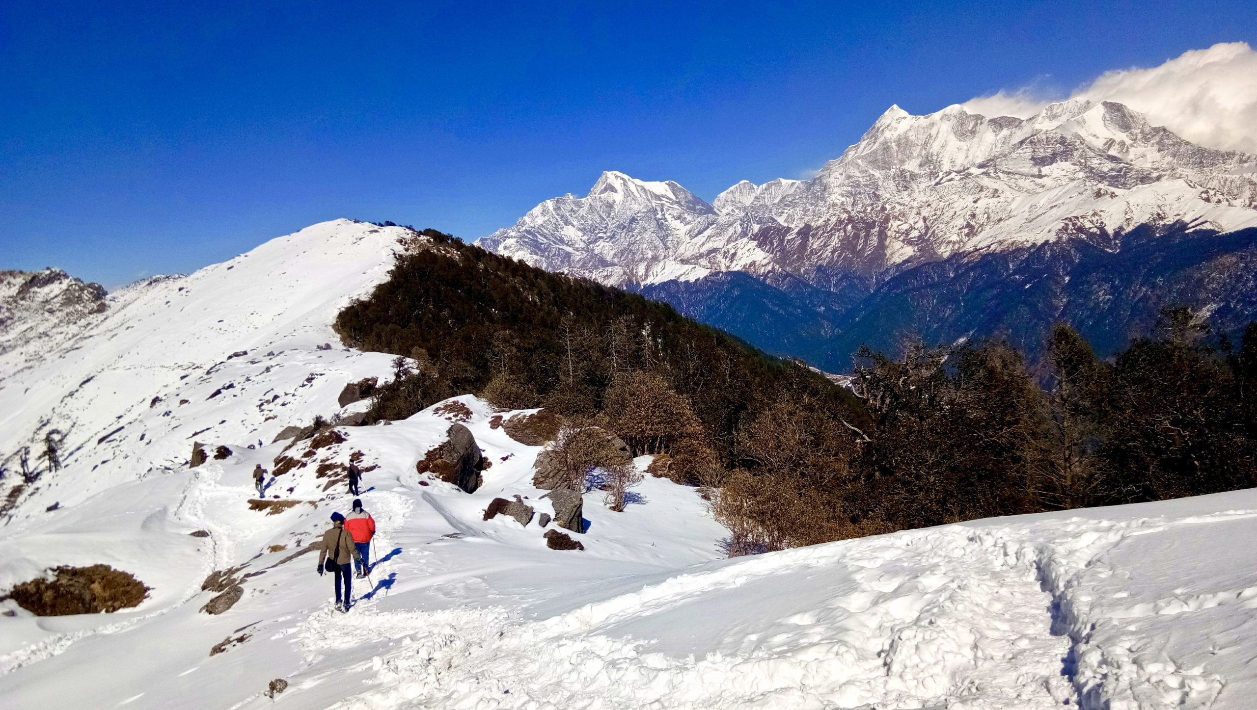 Brahmatal trekking - everything you want to know earlier than you go