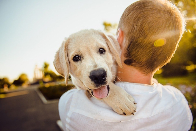 The love of animals as a basis for teaching empathy at school