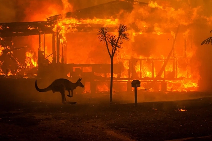 This is Australia’s most important report on the environment’s deteriorating health. We present its grim findings