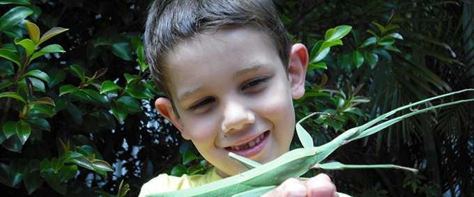 Biodiversity in primary school: worms, bees and neighborhood stores