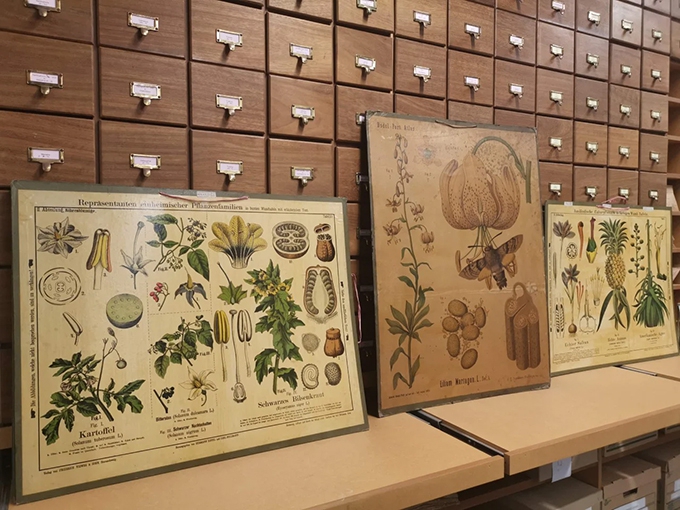 Biological collections in the classroom: the herbarium as a teaching resource