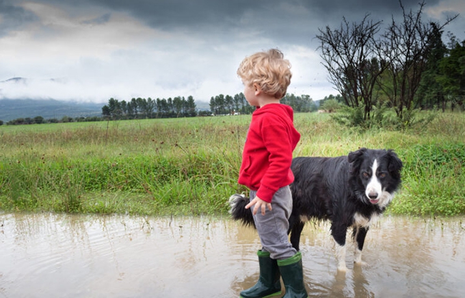 Faced with natural risks, what prevention tools for young people?