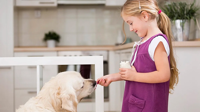 The nutritional benefits of Yogurt for dogs