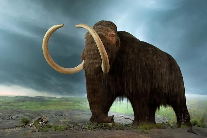 Can we really resurrect extinct animals, or are we just creating hi-tech lookalikes?