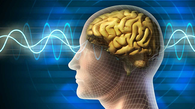 Can you upload a human mind into a computer? A neuroscientist ponders what’s possible