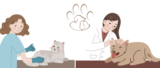 Comprehensive Guide to Vaccinations for Dogs and Cats: Everything Pet Owners Need to Know