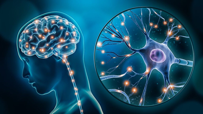 Could electric brain stimulation lead to better maths skills?