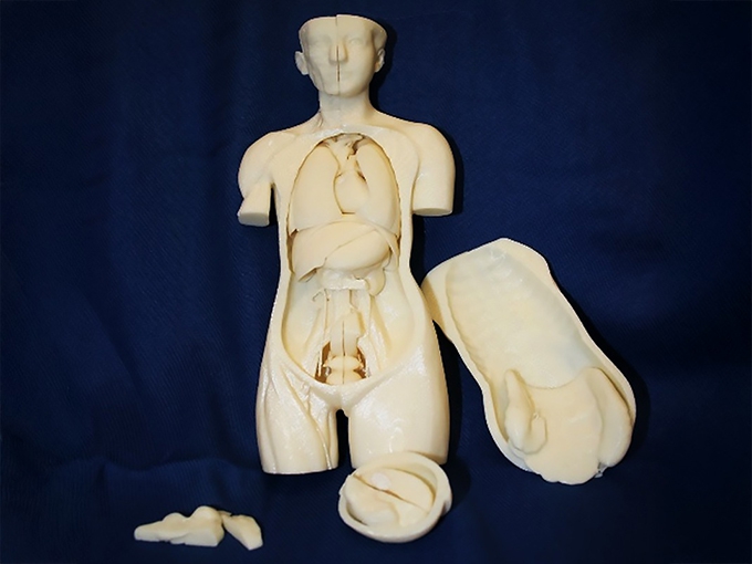 Teaching medicine through art: anatomical sculpture at the Spanish university