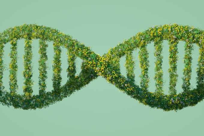 Are we playing God? What AI means for biology