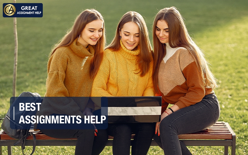 Why Do Students Need Online Assignment Help in the USA?