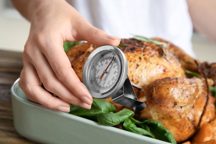 A Meat Thermometer Buying Guide