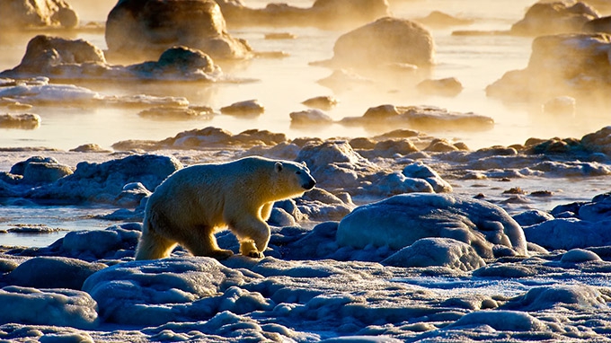 6 ways to build resilience and hope into young people’s learning about climate change