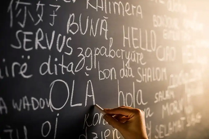 Why do we choose to learn a particular language?