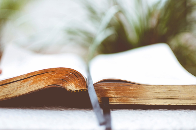 From the teaching of literature to literary education