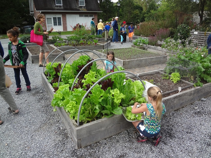 Community and school gardens don’t magically sprout bountiful benefits