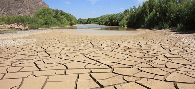 Heat and drought, a lethal cocktail