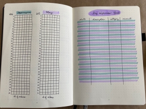 New year, new Bullet Journal!