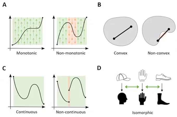 Arithmetic has a biological origin – it’s an expression in symbols of the ‘deep structure’ of our perception