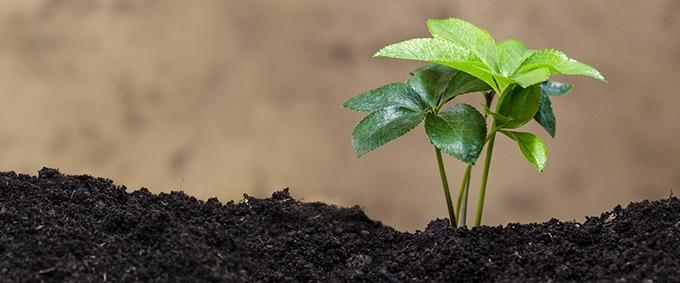 2025, a key year in the fight against greenwashing