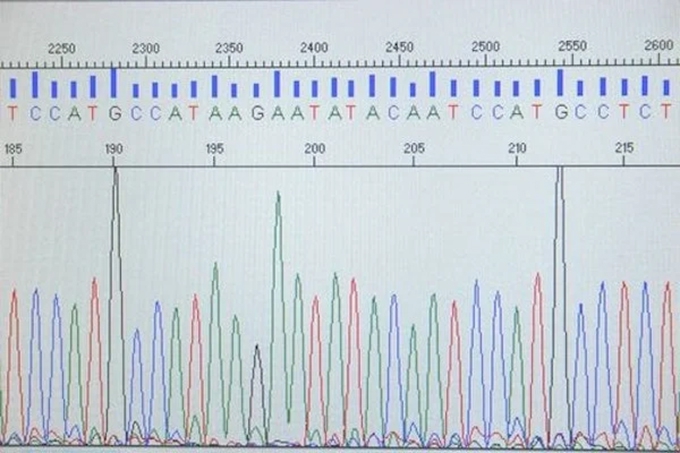 Forget AI-generated music, this music was composed using DNA sequences