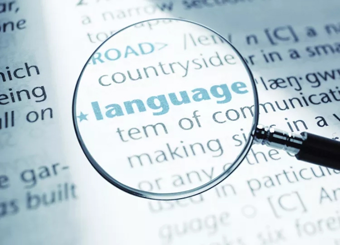 Writer identity and voice