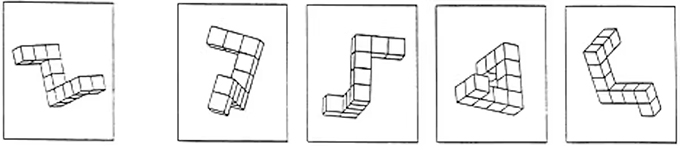 Even before they can read, young children are visualizing letters and other objects with the same strategies adults use